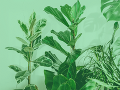 업데이트 : 일반 회원가입을 열었습니다.