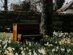 —그 아이는 다시 돌아올 생각이 없었던 거다.