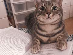 [국어] 최소 2등급, 다 풀고 30분 남는 법