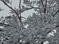 당신의 워라밸은 어떠한가요?