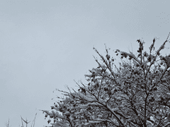 주말을 걷는 시간