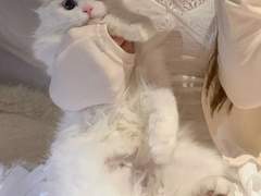 [트위터 질문] 다이어트 약 답변 총 정리