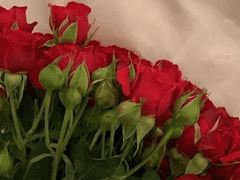 수취인이 없는 편지는 파쇄되고.