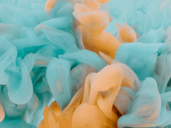 신이 되길 원한다면