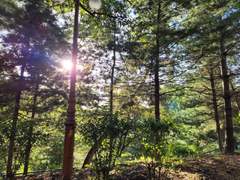 당신이 싫어하는 것