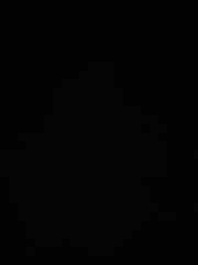 소설세계관 정리본