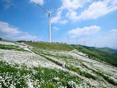 커미션 신청서 14