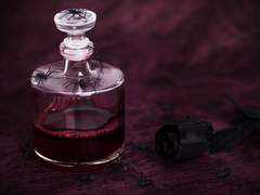 [라이브러리 오브 루이나] 설령 지금까지 용인되었던 이 모든 것들이 모순임을 깨달을지라도.