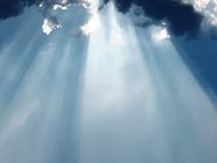 불가항력의 청춘