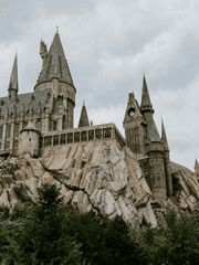 해포기반자캐커뮤