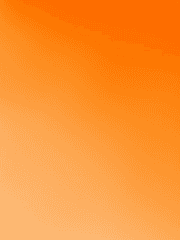 어려진 중화포격대의 부대장