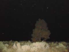 얌님 연성교환 신청서