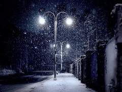 이상한 남자와의 이상한 동거 上