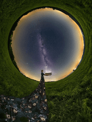 나의 주인을 구원하는 법