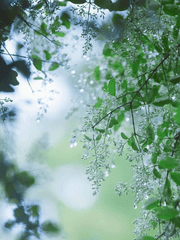 생자生者와 사자死者 사이