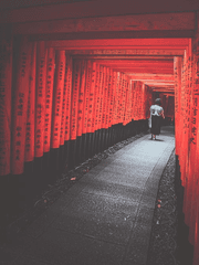 운명 꼬였나 안 꼬였나