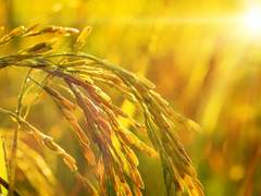 [해즈빈호텔 드림/헬러바 보스 드림/스톨라스] 밤 손님6