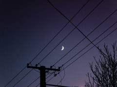 바보가 되어버린 걸까