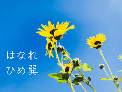 [히메타츠♀] はなれ 1