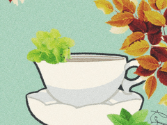 주박하;글 사용 설명문