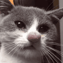 돌고돌아돌림판