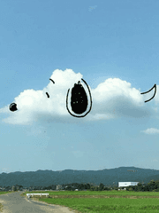 여기로 빙의 좀 시켜주소