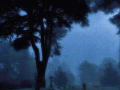 당신은 날 뭘로 본 거야?