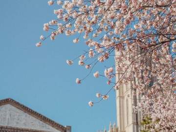 사랑의 캠퍼스 - 라이즈 1화