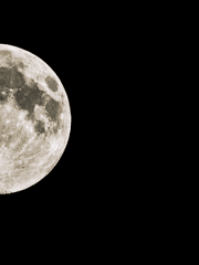 Take My Soul And Dance With Me