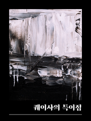 퀘이사의 특이점