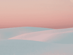 보내지 못한 편지