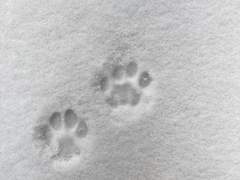 전 흥미가 떨어지면 그쪽한테 잘해주지도 않아요.