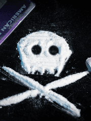 교내 마약 실태 보고서