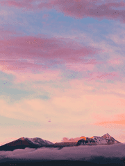 형편없는 가이드