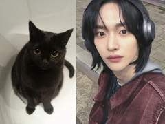 깜고 육아일지 talk