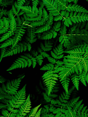 정신과 의사와의 인터뷰