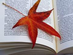 [태웅주영] Once upon the day