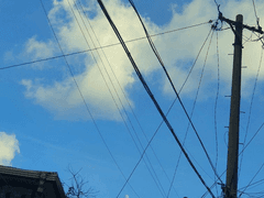 여름을 그리워하며.