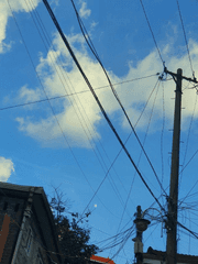 여름을 그리워하며.