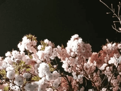 01. 비교되는 일상