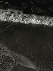 엔시티 나페스 추천 