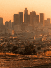 정상이 또X이가 되는 좀비 아포칼립스