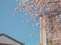 사랑의 캠퍼스 라이즈 - 2화