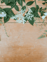 노래가사와 그들의 사랑