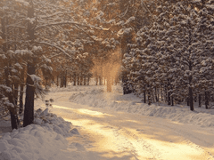 크리스마스이브 (2)