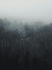 전독시 단편 소설