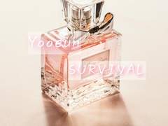 [초세여] 한줄기의 빛