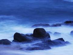 겨울바다에 가지 않을래요?