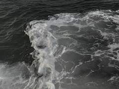 예술가 슈x인어 미카