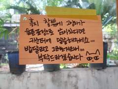 산책 고양이는 감기 조심하세요